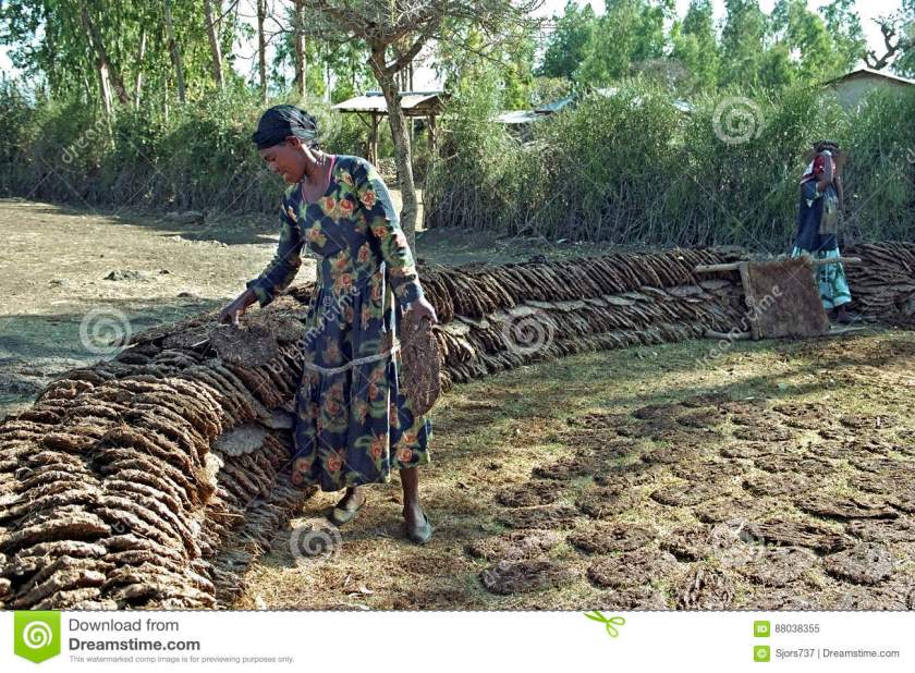 donna-etiopica-che-fa-i-dischi-del-combustibile-dallo-sterco-di-mucca-88038355
